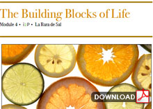 The Building Blocks of Life